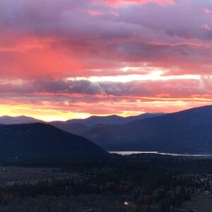 Meet your Posher, Carol